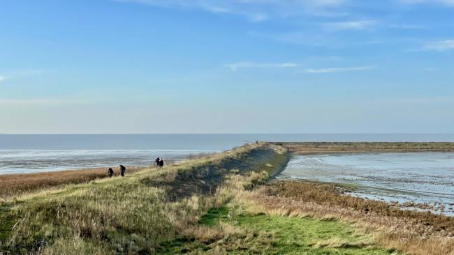 Strandurlaub Callantsoog LekkerNaarZee